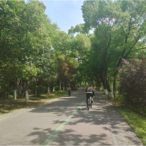 凤凰花开的路口钢琴简谱 数字双手 一曲肝肠断