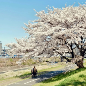 兜圈钢琴简谱 数字双手 林宥嘉