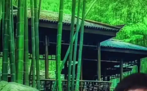 竹林深处-钢琴谱