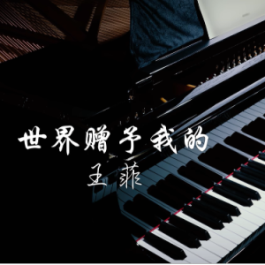 世界赠予我的钢琴简谱 数字双手 袁晶
