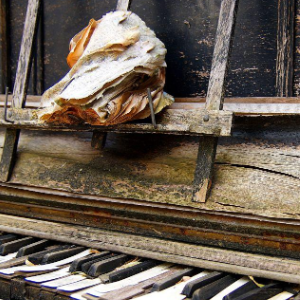 《无尽幸福》钢琴版 - 声不可测-钢琴谱