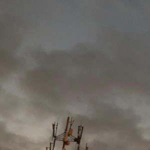 12.31钢琴简谱 数字双手 郑润泽