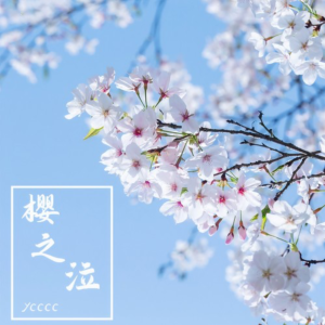 樱之泣钢琴简谱 数字双手