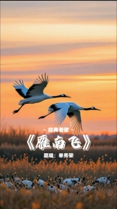 雁南飞-钢琴谱