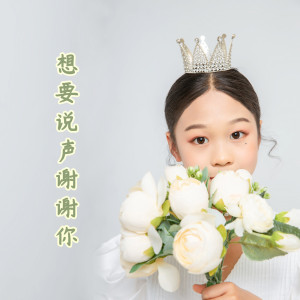 想要说声谢谢你-钢琴谱