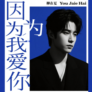 Because I Love You-钢琴谱