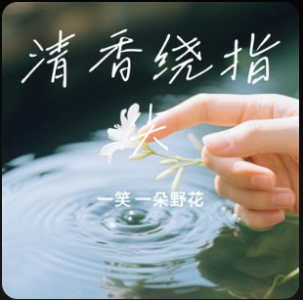 清香绕指尖-钢琴谱