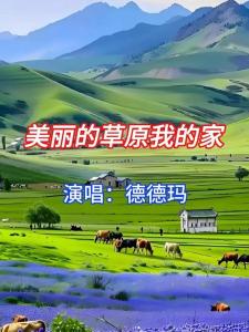 美丽的草原我的家-钢琴谱