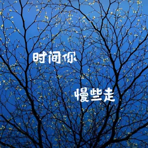 时间你慢些走-钢琴谱