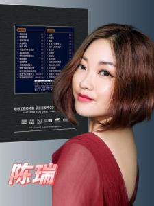 爱的翅膀-钢琴谱