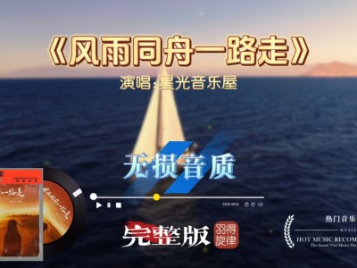 风雨同舟一路走-钢琴谱