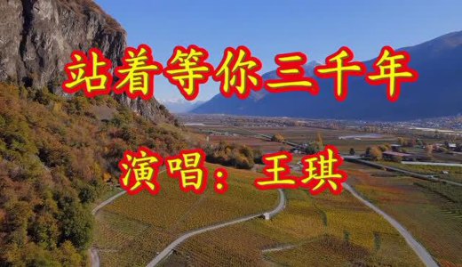 站着等你三千年-钢琴谱