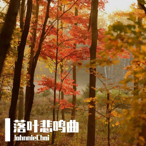落叶悲鸣曲钢琴简谱 数字双手 JohnnieChoi