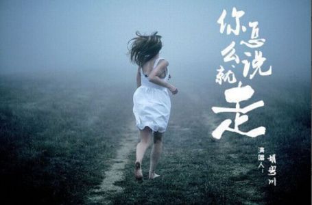 你怎么说走就走-钢琴谱