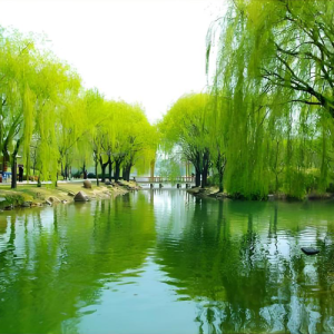 虞美人·春花秋月何时了-钢琴谱