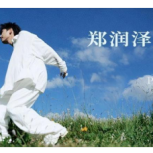 12.31 原调简易钢琴弹唱伴奏 带歌词 郑润泽-钢琴谱
