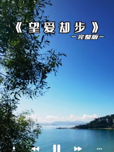 望爱却步-钢琴谱
