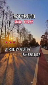 留不住斜阳-钢琴谱