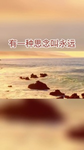有一种思念叫永远-钢琴谱