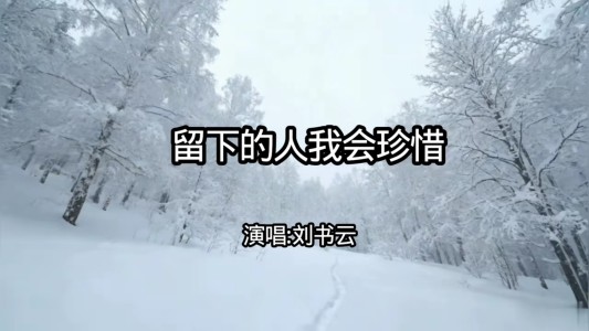留下的人我会珍惜-钢琴谱