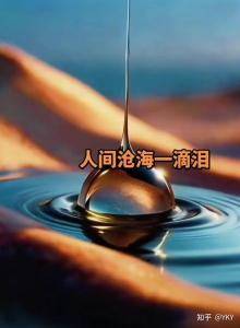 人间沧海一滴泪-钢琴谱