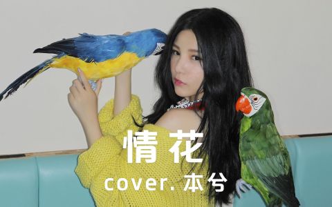 情花-钢琴谱