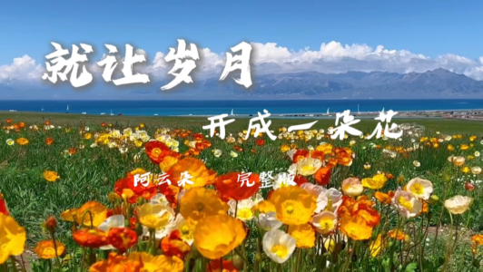 就让岁月开成一朵花-钢琴谱