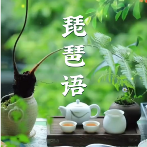 琵琶语【钢琴伴奏+旋律】钢琴简谱 数字双手