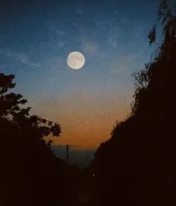 月亮别再嘲笑我-钢琴谱