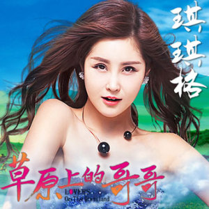 草原上的哥哥-钢琴谱