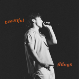 Beautiful Things钢琴简谱 数字双手