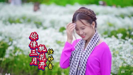 你像三月桃花开-钢琴谱