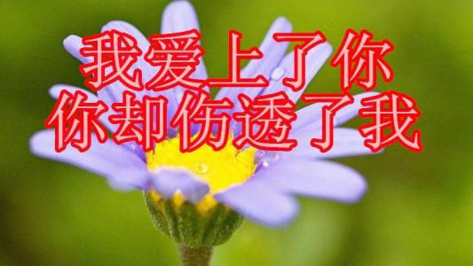 我爱上了你你却伤透了我-钢琴谱