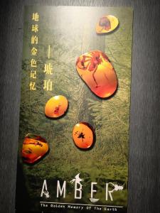 记忆的琥珀-钢琴谱