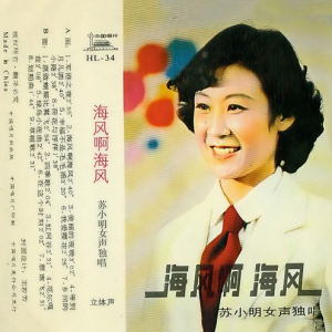 军港之夜 - 苏小明【入门C调简单版】-钢琴谱