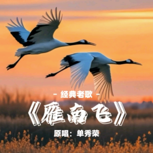 雁南飞-钢琴谱