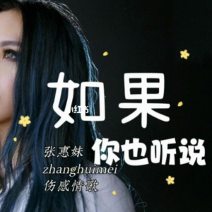 如果你也听说-张惠妹 G调独奏-钢琴谱