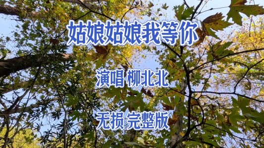 姑娘姑娘我等你-钢琴谱