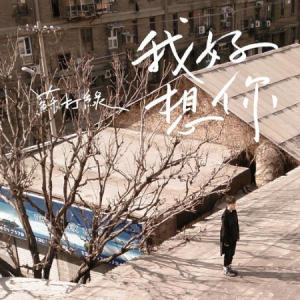 我好想你钢琴简谱 数字双手