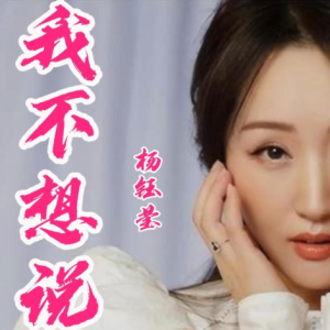 我不想说-杨钰莹 C调独奏-钢琴谱