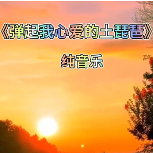 弹起我心爱的土琵琶钢琴简谱 数字双手