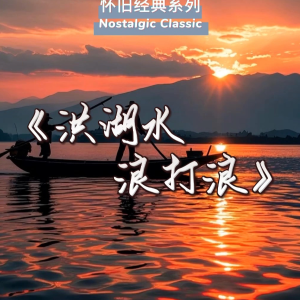洪湖水浪打浪钢琴简谱 数字双手