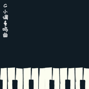 G大调小奏鸣曲钢琴简谱 数字双手