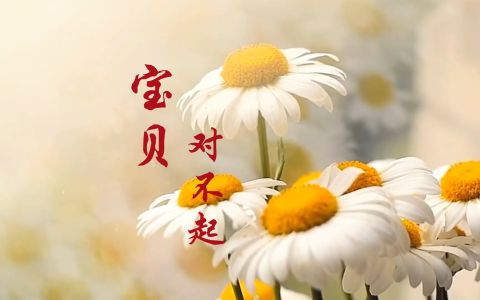 宝贝，对不起(雷鬼版)-钢琴谱