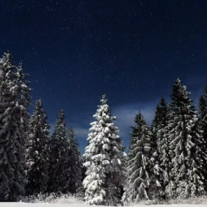 《Starry winter》（星雪夜）-钢琴谱