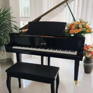 Beautiful in White钢琴简谱 数字双手