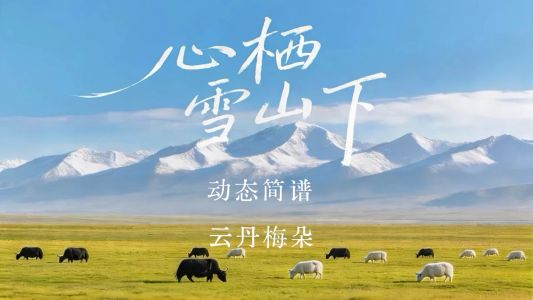心栖雪山下-钢琴谱
