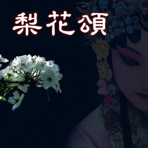 梨花颂-钢琴谱