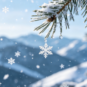 The First Snowflakes钢琴简谱 数字双手