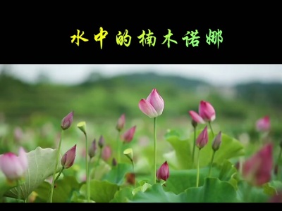 水中的喃木诺娜-钢琴谱